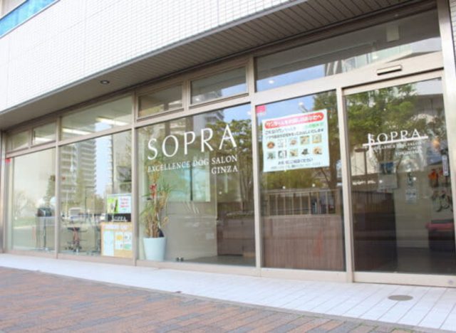 SOPRA GINZA　横浜店